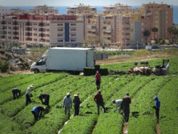 Out in the Midday Sun