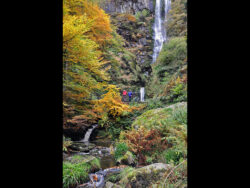Waterfalls at Pistyll Rhaeadr